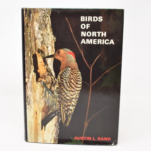 Birds of North America Austin Rand Hardcover Illustrated Reference VTG 1971 Guid - Picture 1 of 16